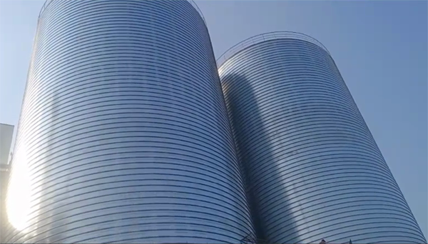 威信2座混凝土高架卷板仓